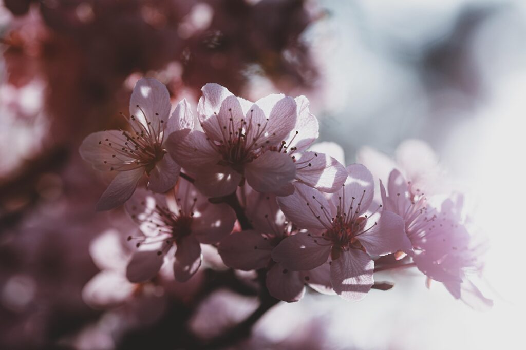 花粉症を改善するための効果的な対策は？