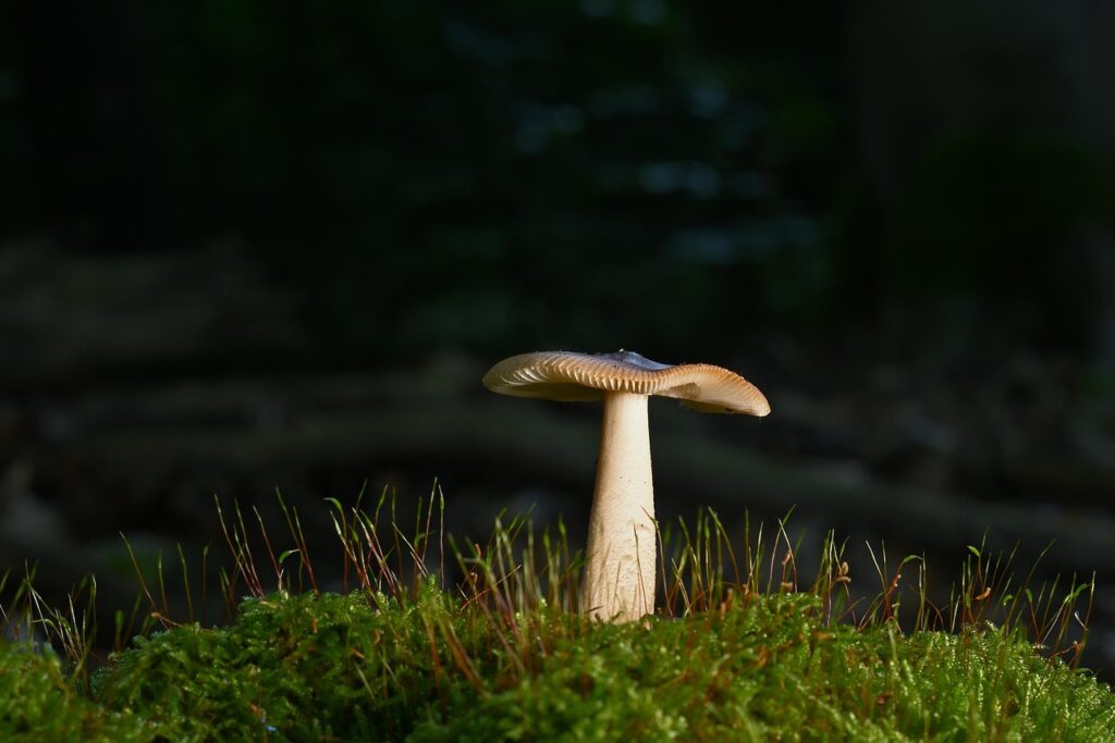 菌活サプリの解約に縛りはあるのか？